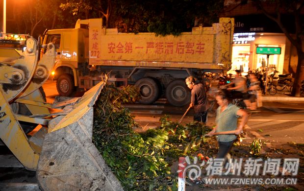 園林部門運輸車輛不夠裝　渣土車出動清臺風垃圾