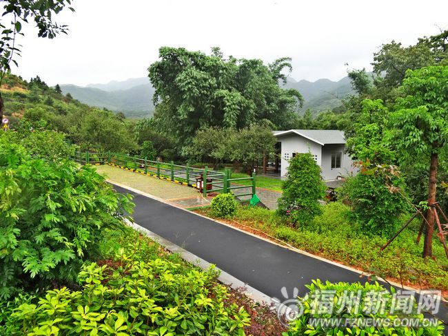 福永省道大樟溪停車區(qū)啟用　提供停車觀景等服務(wù)