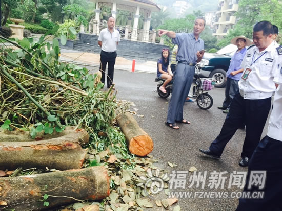 私砍樹改擴停車位？　園林：未經審批同意將處罰