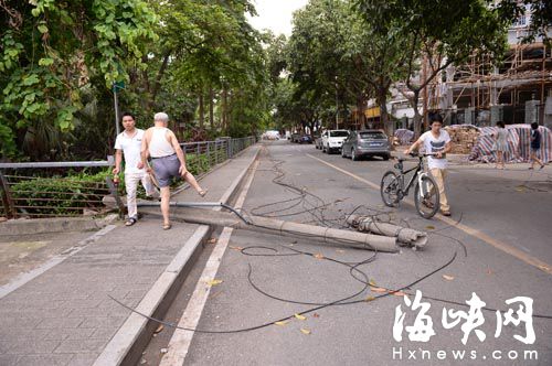 白馬支路線桿倒下