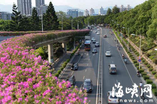 市民呼吁，白馬路中央也有空間建綠化分車帶 ? ?