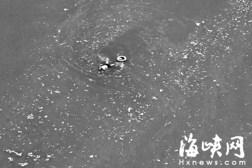 QQ截圖20150830072520