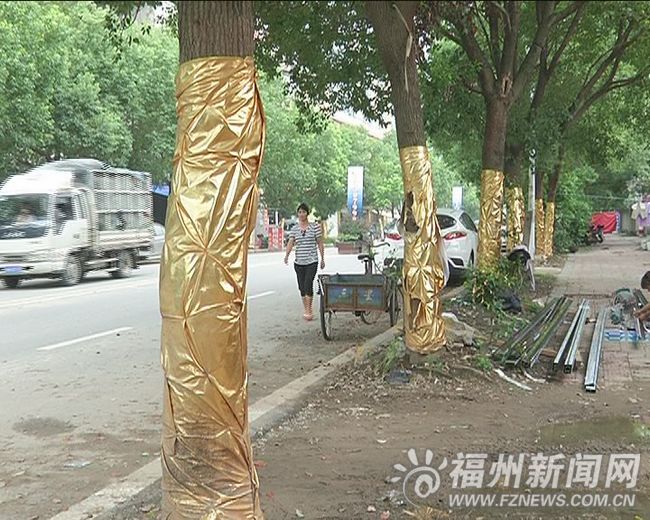 東方威尼斯售樓部損“樹”利己　行道樹樹皮腐爛