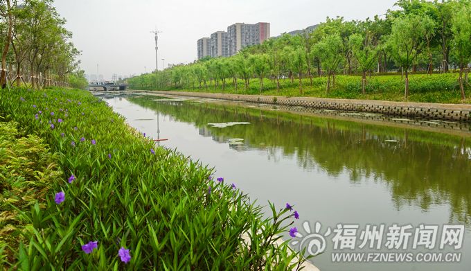 楊岳調研福州防洪排澇工作　要求加快推進海綿城市建設