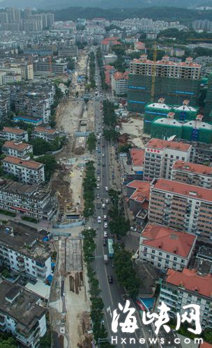 銅盤路數十棵大樹被移走，留下光禿禿的路段