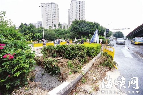 綠化帶上挖出了一道“口子”，還用水泥澆灌