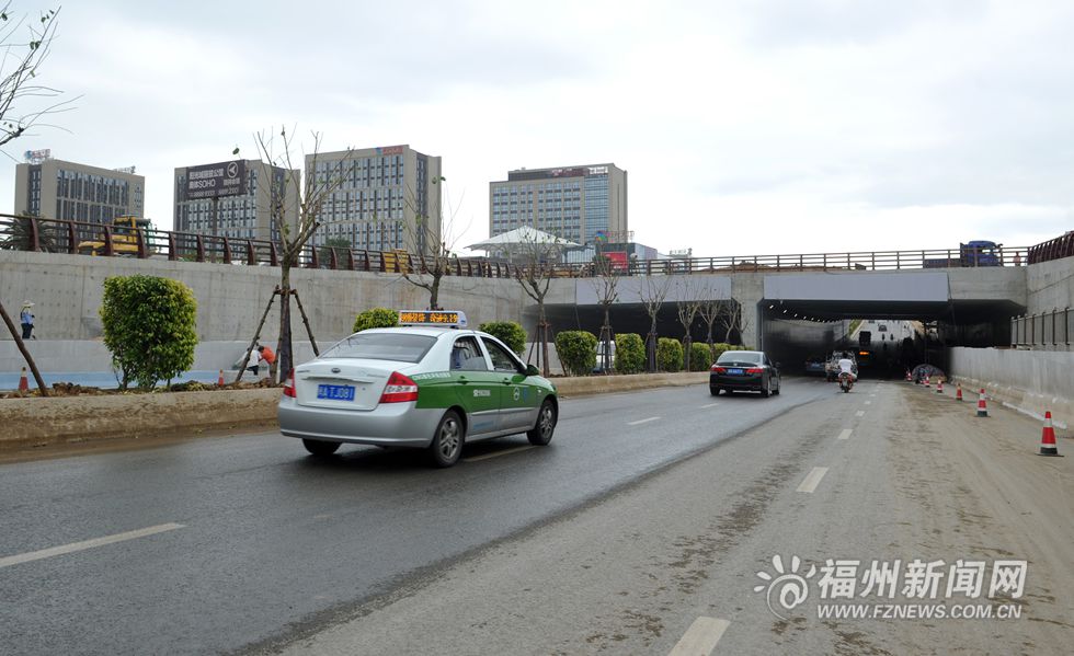 奧體片區將現“海鷗翱翔”景觀 綠化美化基本完成