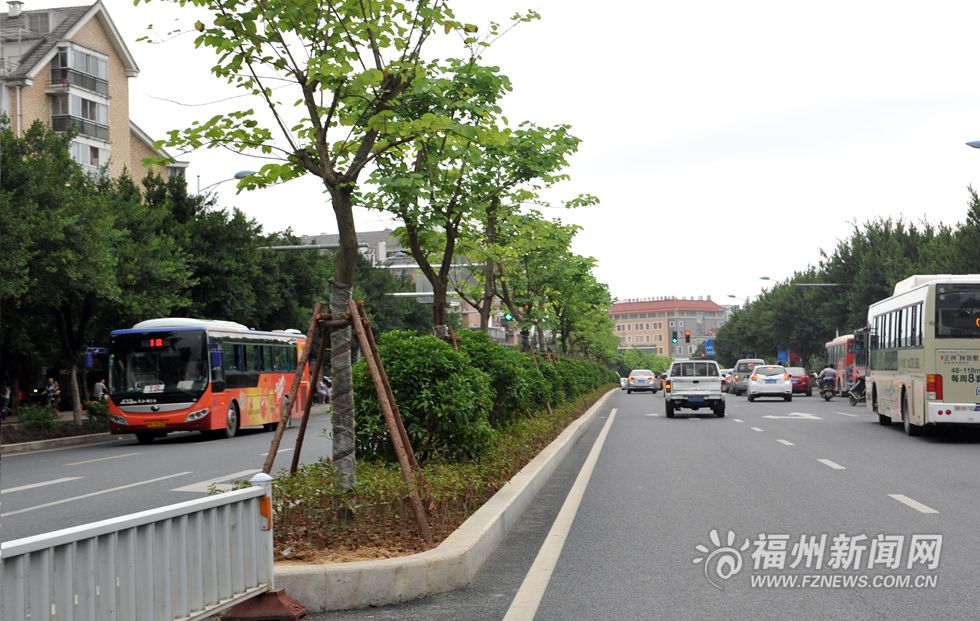 奧體片區將現“海鷗翱翔”景觀 綠化美化基本完成