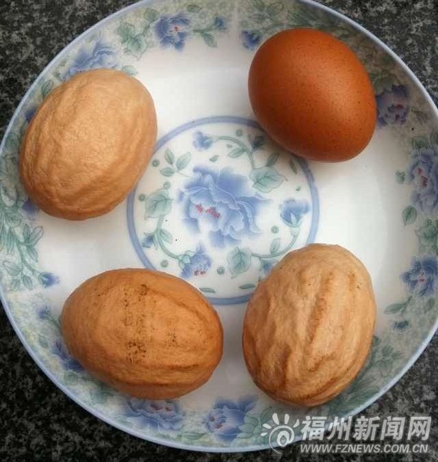 福清一村民家母雞產下三個怪蛋　表面坑洼似核桃