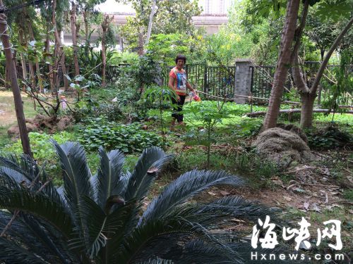 晉安名桂佳園綠化帶變“菜地”　居民難忍糞肥臭