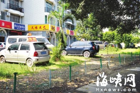 福州“車多寶”二手車行侵綠　損壞福馬路綠化帶