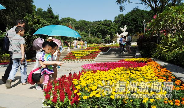 國(guó)慶將至6萬(wàn)盆鮮花扮靚金雞山公園 裝點(diǎn)節(jié)日氛圍