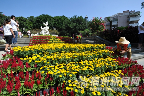 金雞山公園國慶節(jié)前“錦上添花” 新增6萬盆鮮花