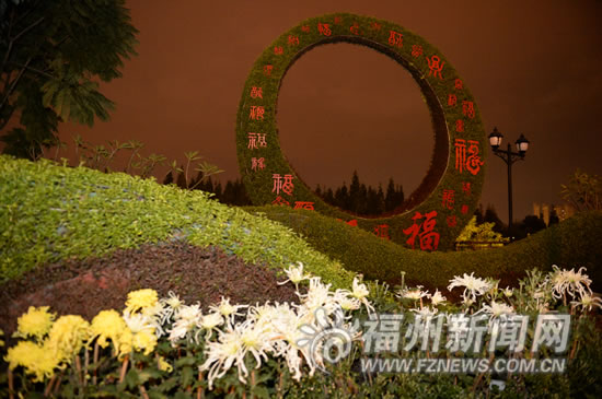西湖菊展百種精品爭奇斗艷 首次展出“盤龍”列