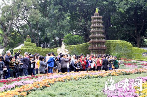 西湖公園菊展最美時刻在下周　首次引入夜景系統