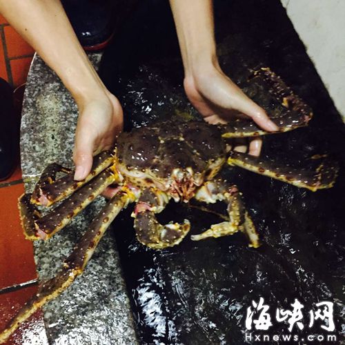 福州進口帝王蟹降幅達50% 平均每只省下七八百元