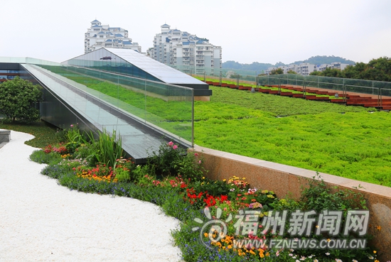 福州出臺新規：中心城區新公共建筑屋面必須綠化