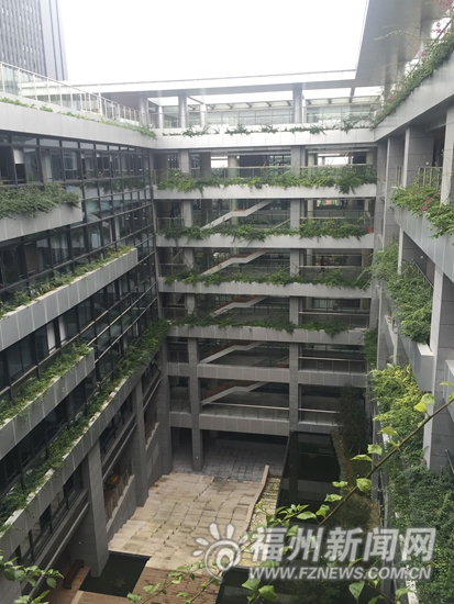 福州出臺新規：中心城區新公共建筑屋面必須綠化
