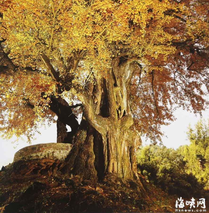 京臺建閩高速或月中通車 從福州一路向北賞美景