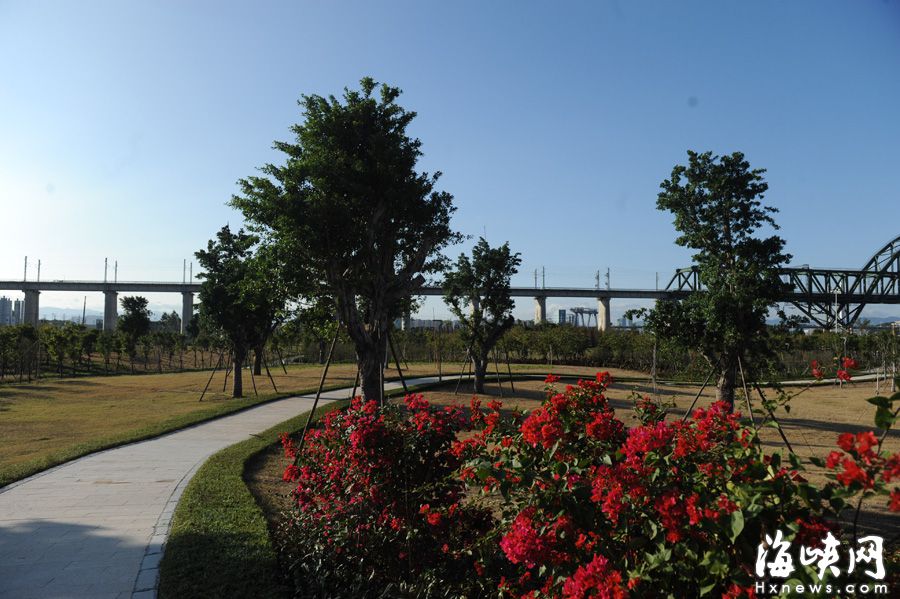 南江濱生態公園十里江景如畫　打造“最美”江岸