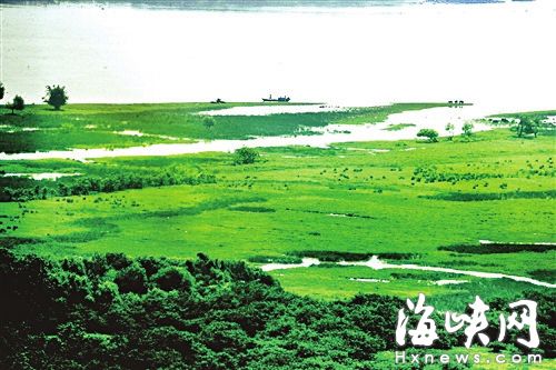 福州再建6個濕地公園升級保護區 擬2017年前建成