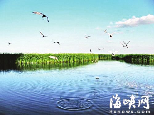 福州再建6個濕地公園升級保護(hù)區(qū) 擬2017年前建成