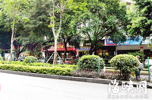 福州24條路分車帶加裝防護欄　防范行人橫穿綠地