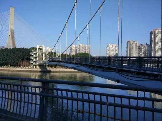 同一角度看江心公園　市民兩張照片見(jiàn)證城市變遷