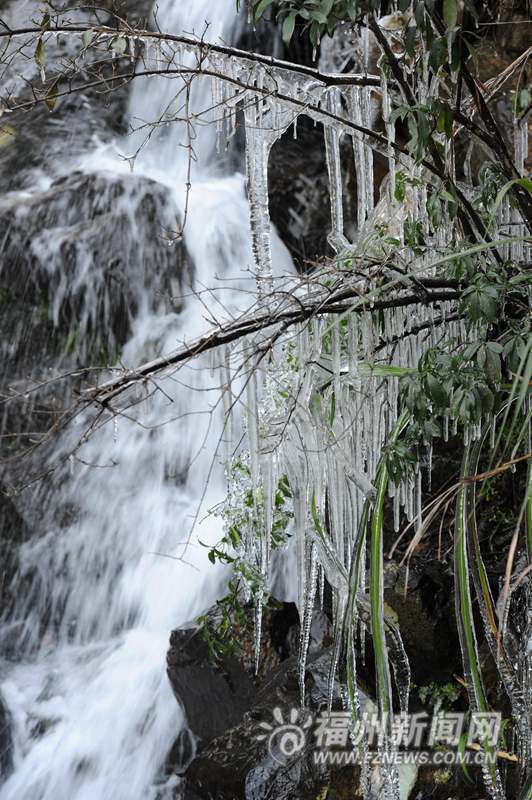 市區70年來昨天最冷　最低溫-1.9℃今起氣溫回升