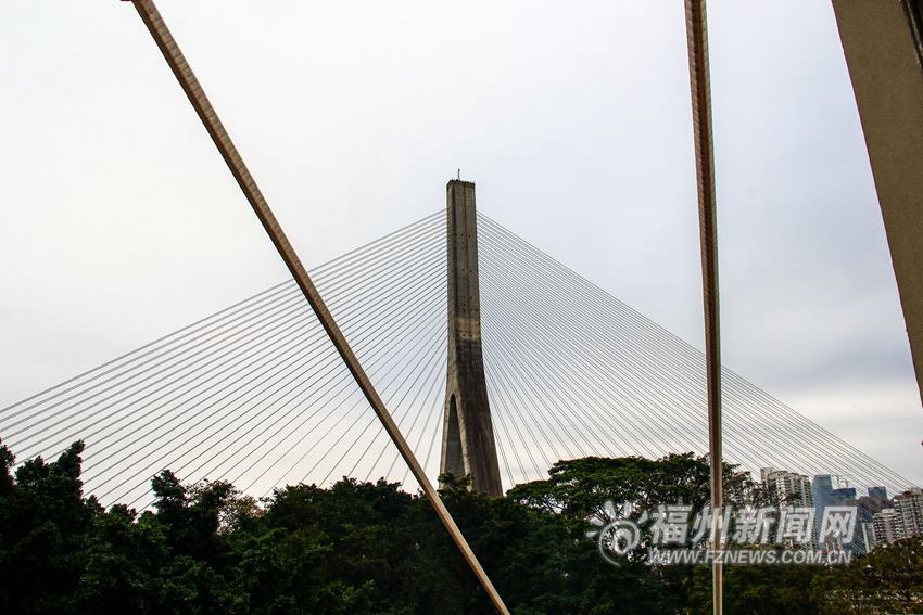 愛上福州城:登“愛情島” 回首情竇初開的歲月