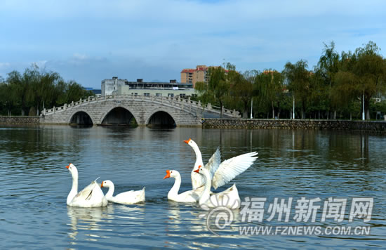“清新福州”今年主打三張牌　推進節能減排(圖)