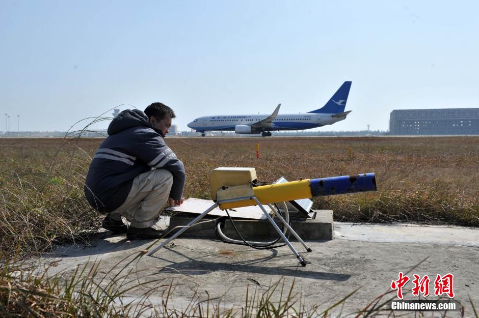 探訪機場驅鳥人:24小時不定時巡邏確保航班安全