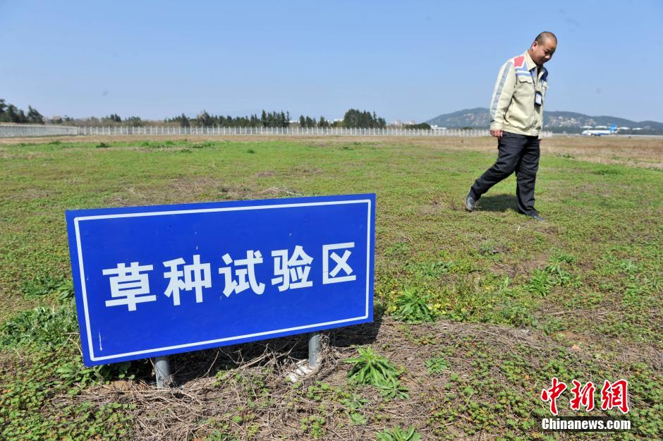 探訪機場驅鳥人:24小時不定時巡邏確保航班安全