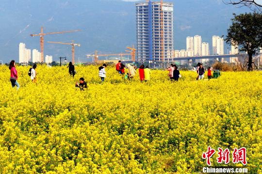 福州打造宜居宜業生態園林城市　傳承閩都山水文脈