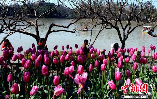 福州打造宜居宜業生態園林城市　傳承閩都山水文脈