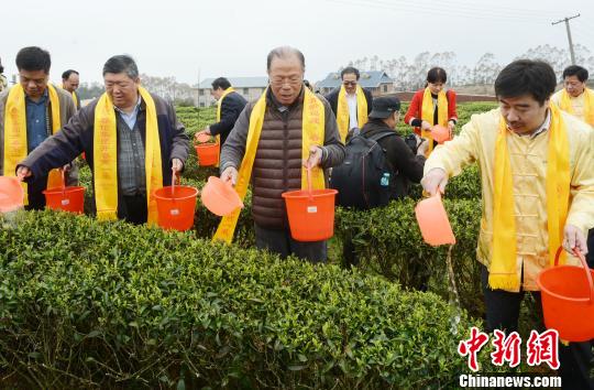 “世界茉莉花茶發源地”福州舉行盛大祈福祭茶儀式
