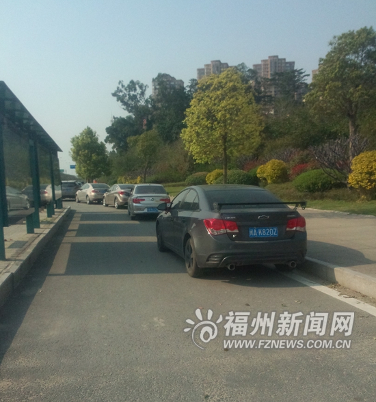 周末逢晴天公園景區(qū)停車難　最好乘公共交通工具前往