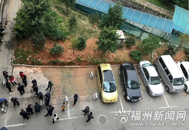 大利嘉城F區占綠地建車位？ 　物業：將調整綠化