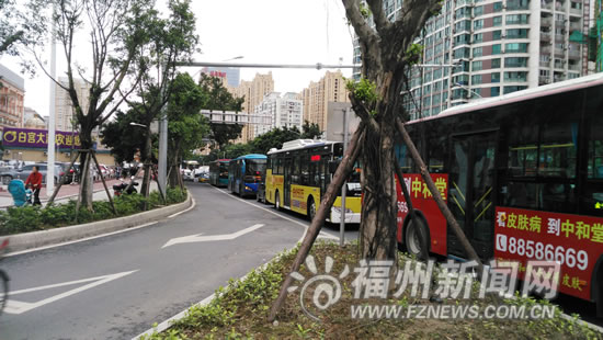 市民支招治堵：信號燈上下班高峰期與夜晚需不同