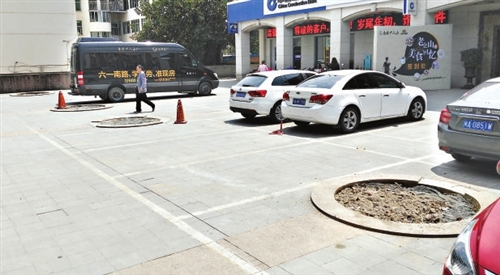 男子見樹枯死未經審批移走　部門：擅移都將受罰