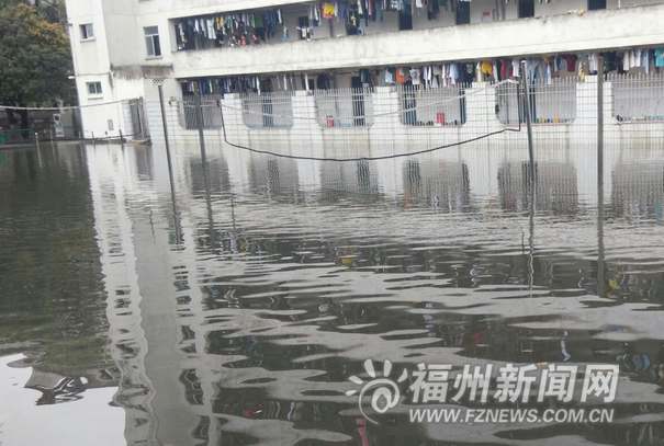 大雨過后河水倒灌福建醫大老校區　積水淹沒通道