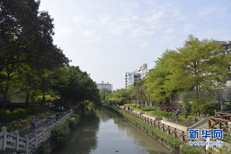 福州各公園打造綠生態(tài) “最美棧道”體驗慢生活