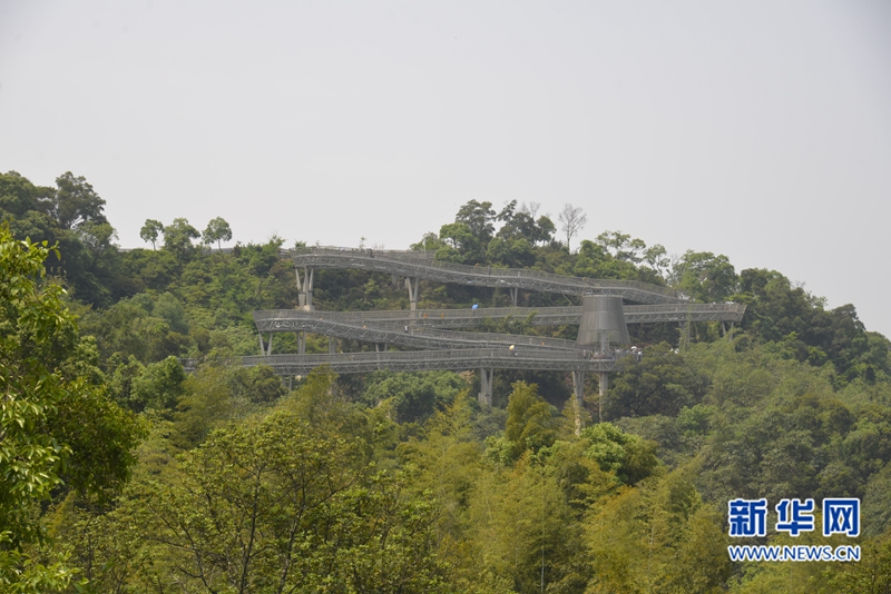 福州各公園打造綠生態(tài) “最美棧道”體驗慢生活