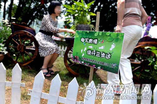 江心公園花藝展游客多　不少綠植花卉遭到破壞 