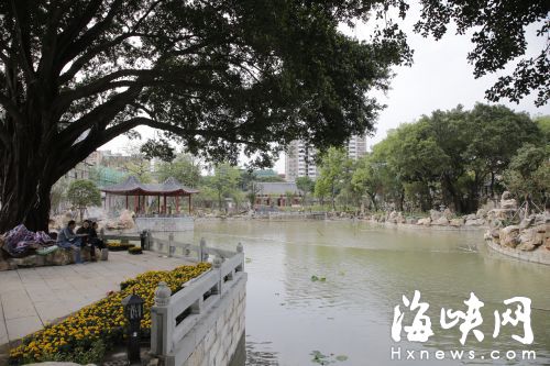 新南公園的湖景
