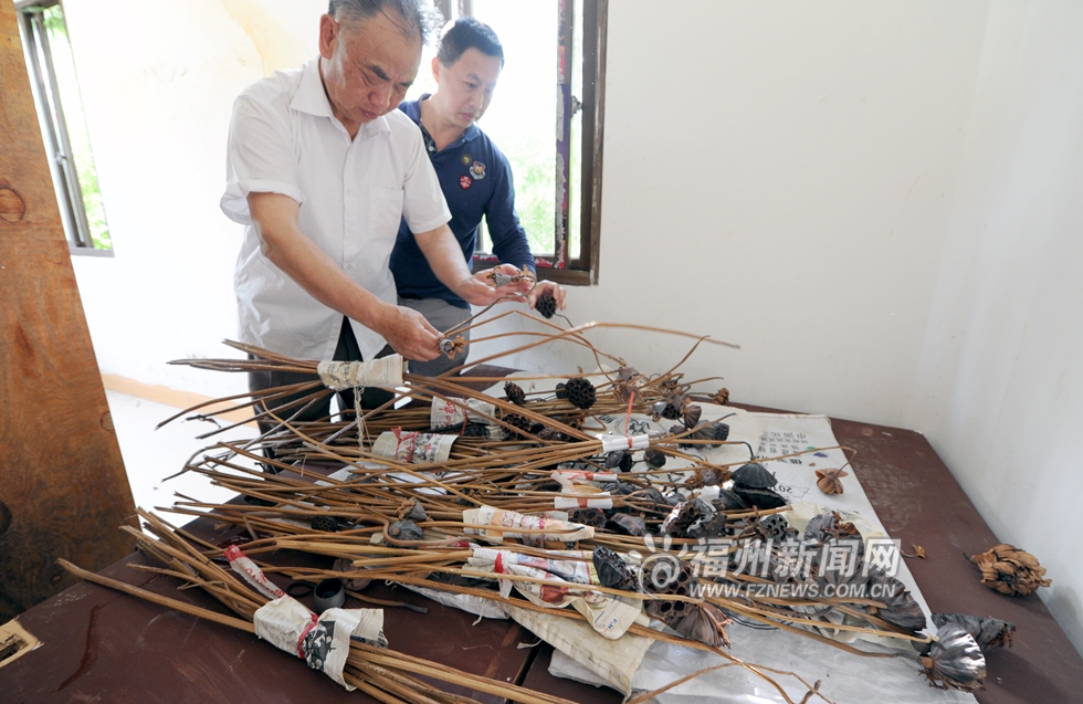 金山公園有位“種荷達人” 流花溪兩岸擬遍種荷花