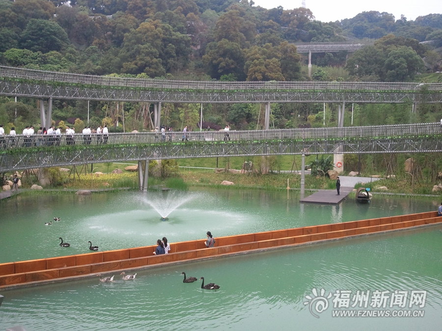 福道梅峰公園山地游覽區基本建成　市民嘗鮮水中棧道