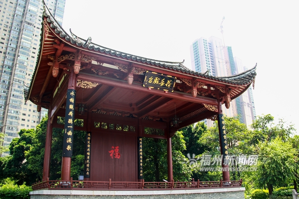 愛上福州城:茶亭公園初夏 那一抹荷之綠