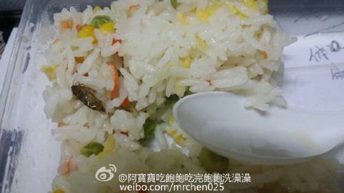 在百度外賣“林記純味”餐館點的炒飯，吃出像蟑螂一樣的昆蟲（網友供圖）