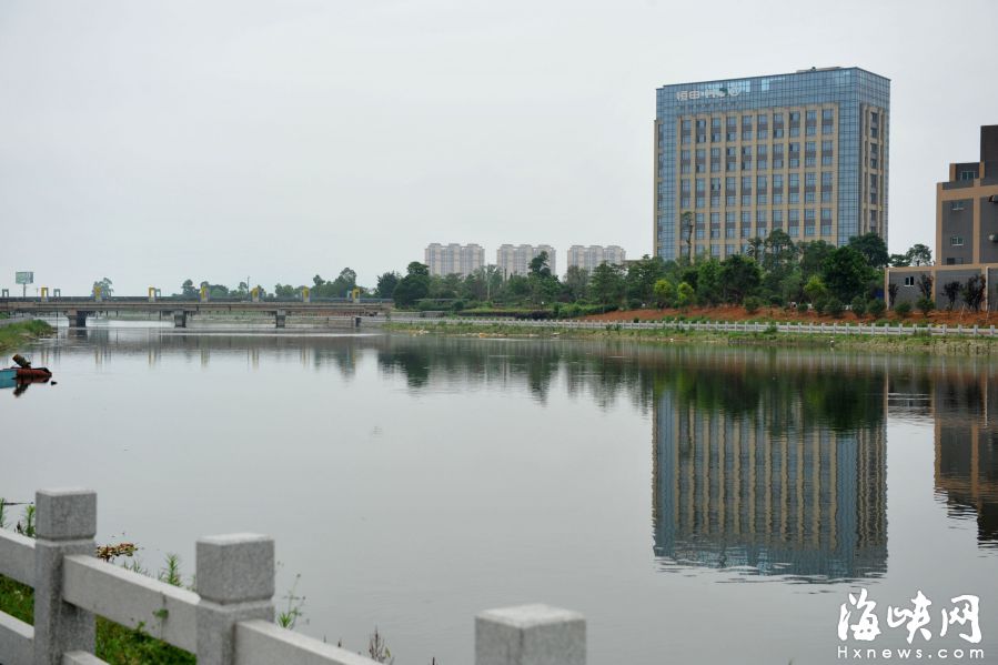 長樂東湖“變身”:曾經半湖浮蓮 現在水清伴花香